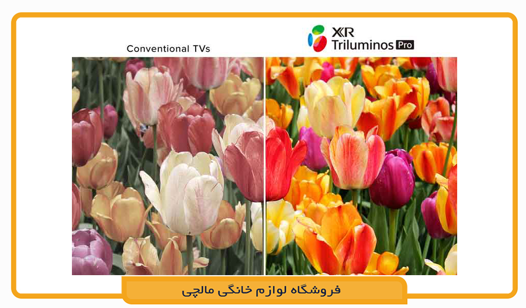 تلویزیون سونی 55S30